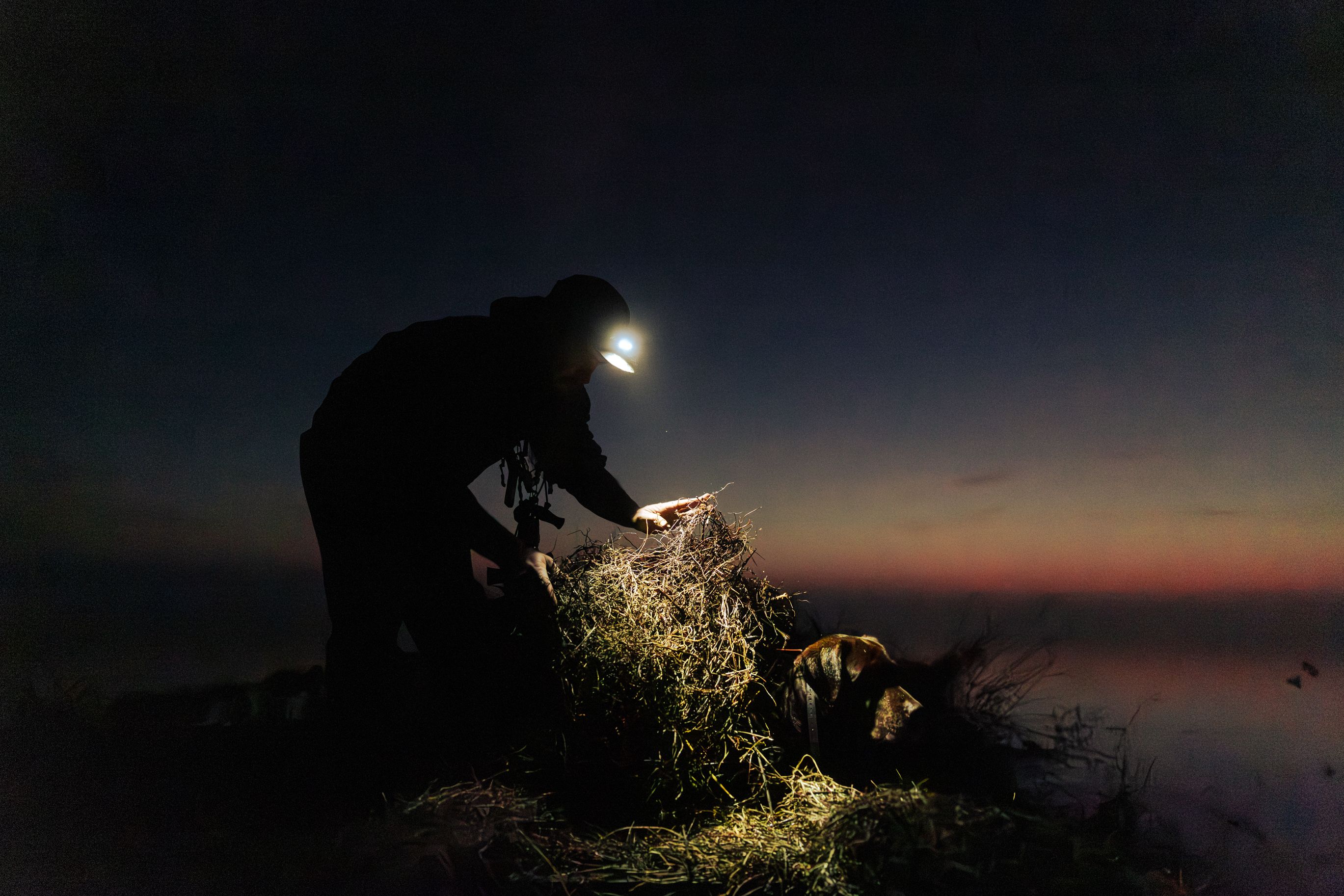 Delta Outdoors Co. guide preparing a blind before first light in the Arkansas Delta.