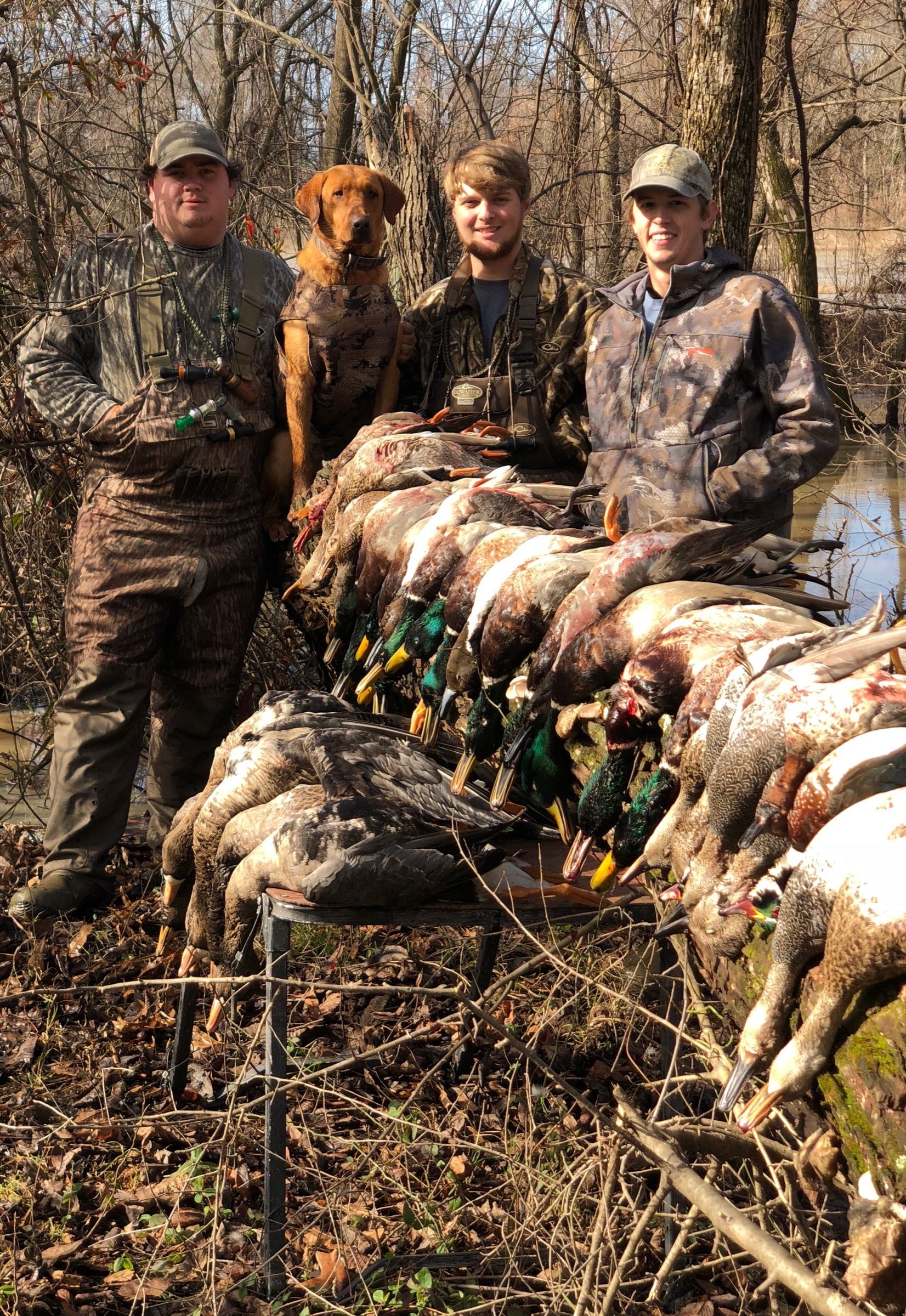 Three early Delta Outdoors hunters and a retriever standing behind ducks after a timber hunt.